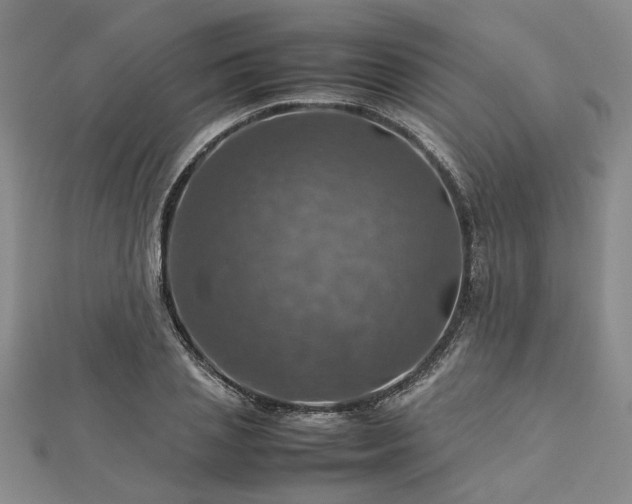 X0000112770837200908271640