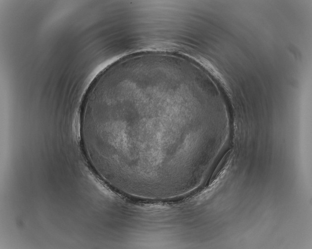 X0000112770838200908271640