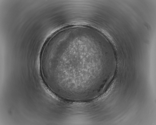 X0000112770840200908271640