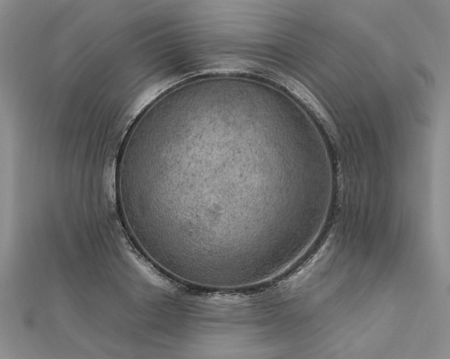 X0000112770842200908271640