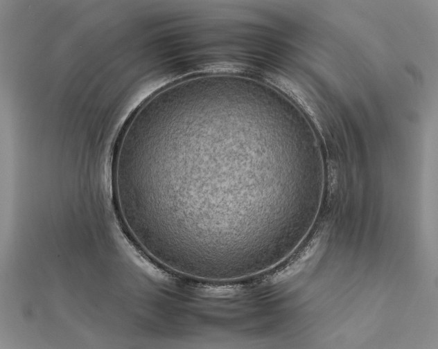 X0000112770843200908271640