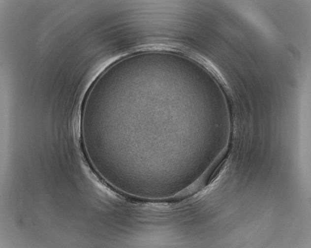 X0000112770844200908271640