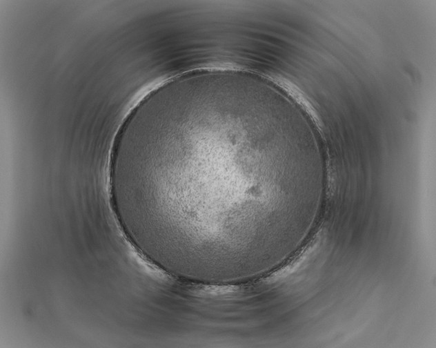 X0000112770845200908271640