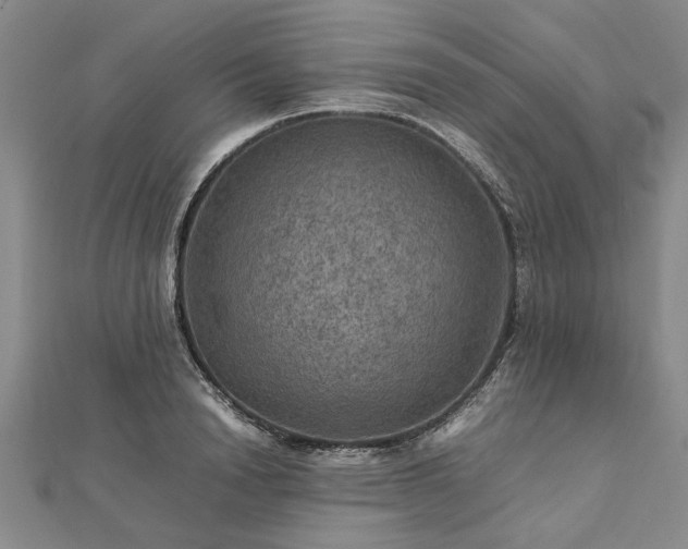 X0000112770846200908271640