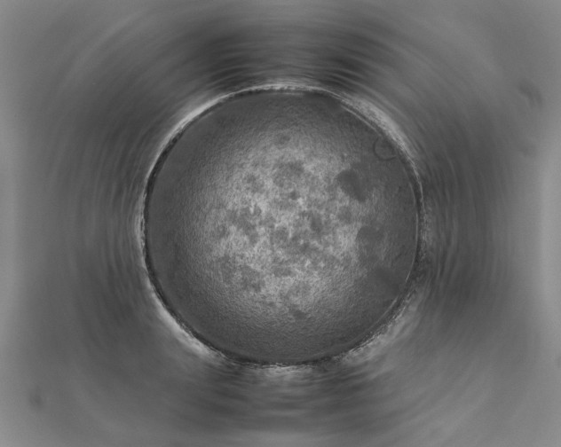 X0000112770847200908271640
