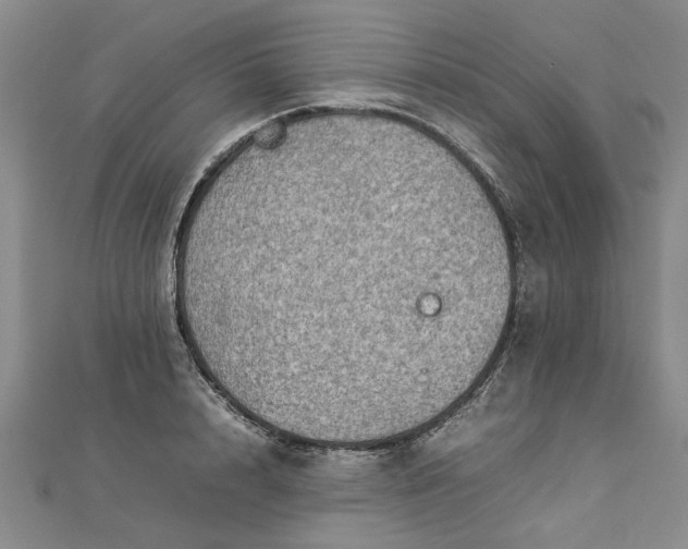 X0000112770848200908271640