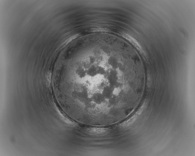 X0000112770849200908271640