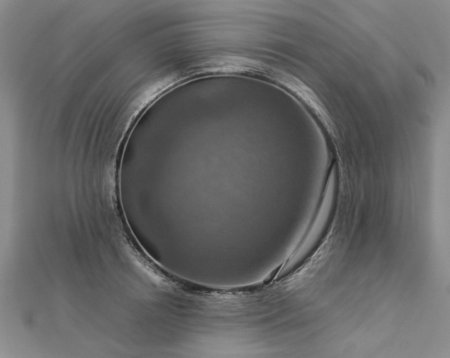 X0000112770850200908271640