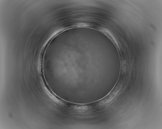 X0000112770851200908271640