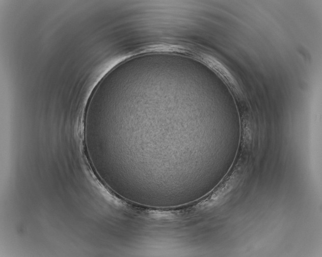 X0000112770852200908271640