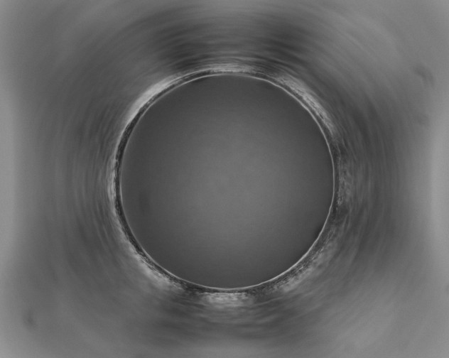 X0000112770853200908271640