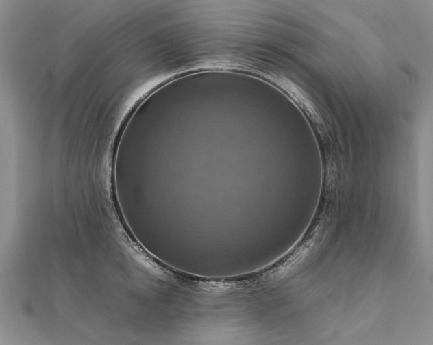 X0000112770854200908271640