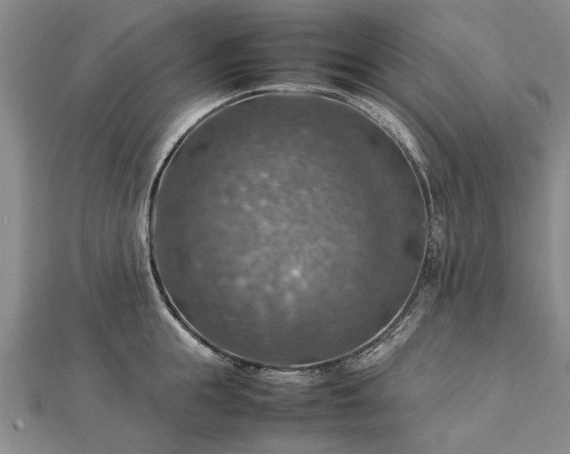 X0000112770855200908271640