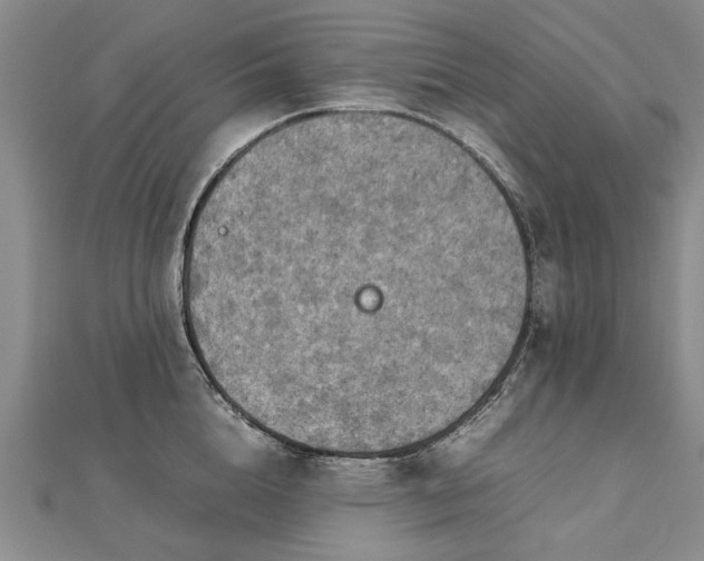 X0000112770856200908271640
