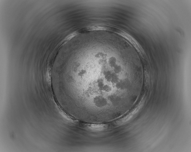 X0000112770857200908271640