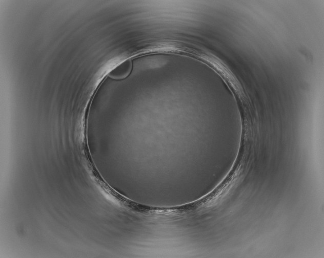 X0000112770858200908271640