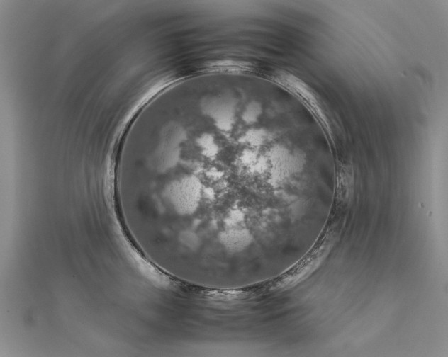 X0000112770859200908271640