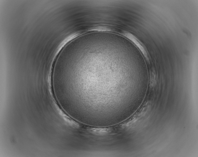 X0000112770861200908271640