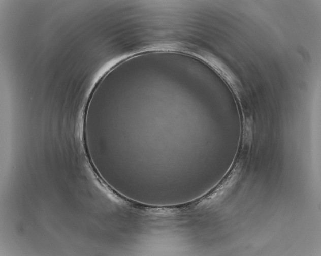 X0000112770862200908271640