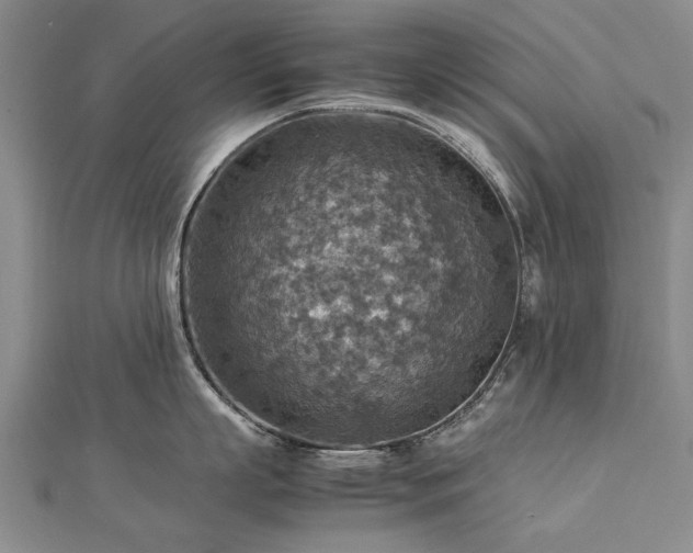 X0000112770863200908271640