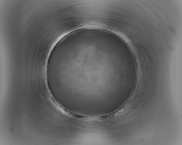 X0000112770864200908271640