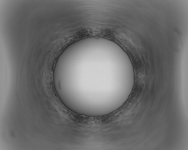 X0000112770865200908271639