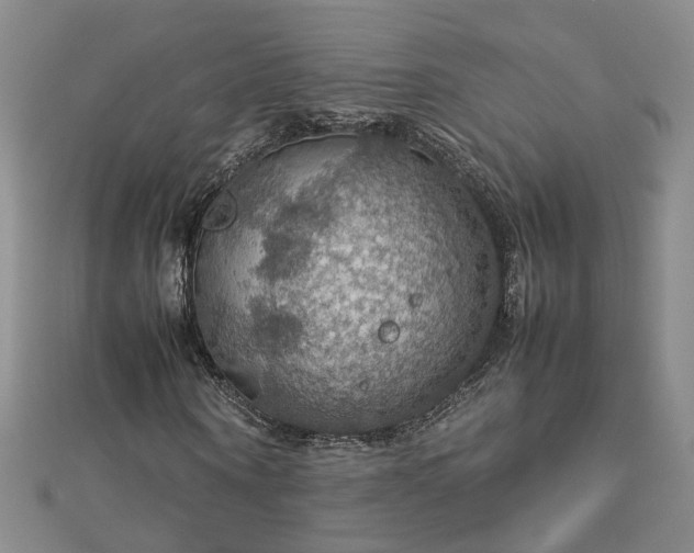 X0000112770866200908271639