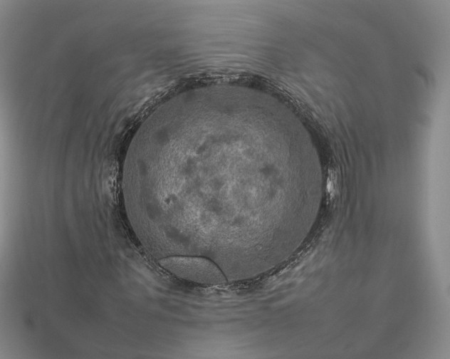 X0000112770867200908271639