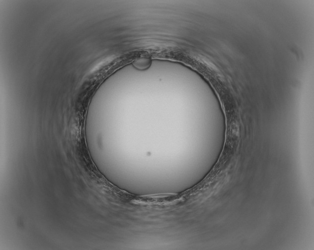 X0000112770869200908271639