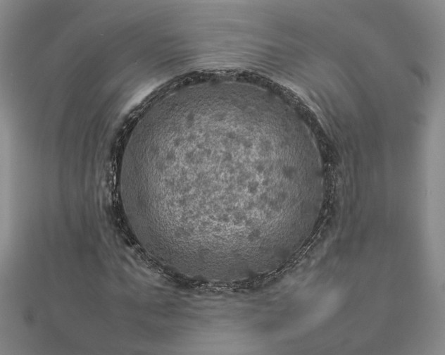 X0000112770871200908271639