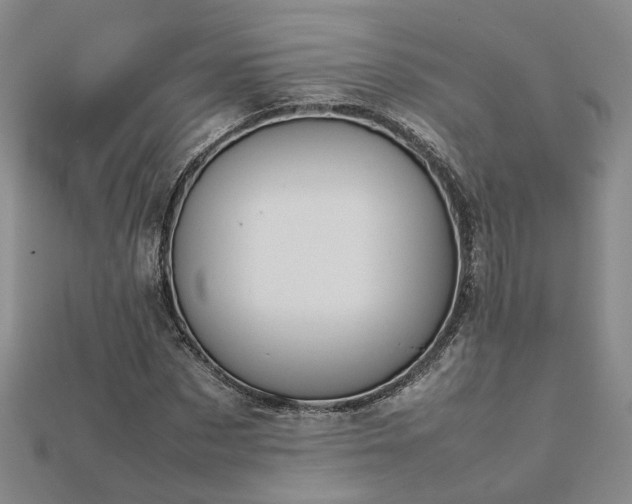 X0000112770873200908271639