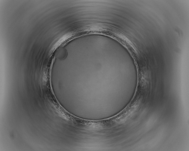 X0000112770874200908271639