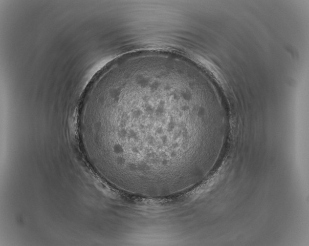 X0000112770875200908271639
