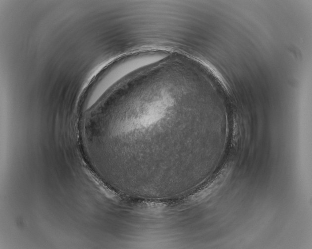X0000112770878200908271639
