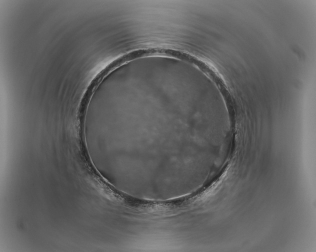 X0000112770879200908271639