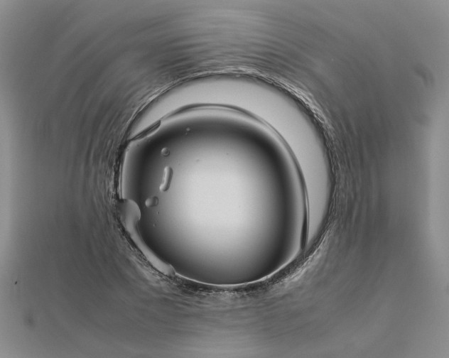X0000112770881200908271639