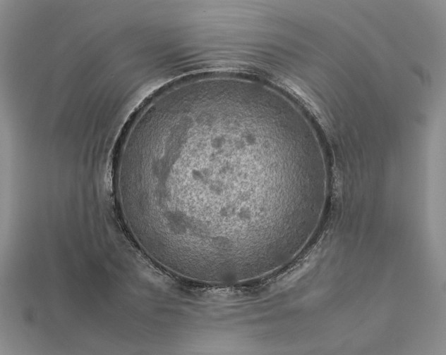 X0000112770883200908271639