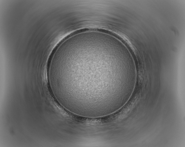 X0000112770887200908271639