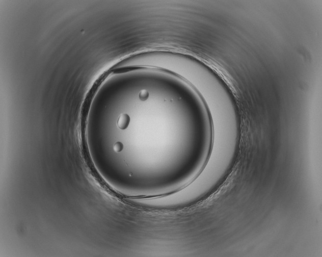 X0000112770888200908271639
