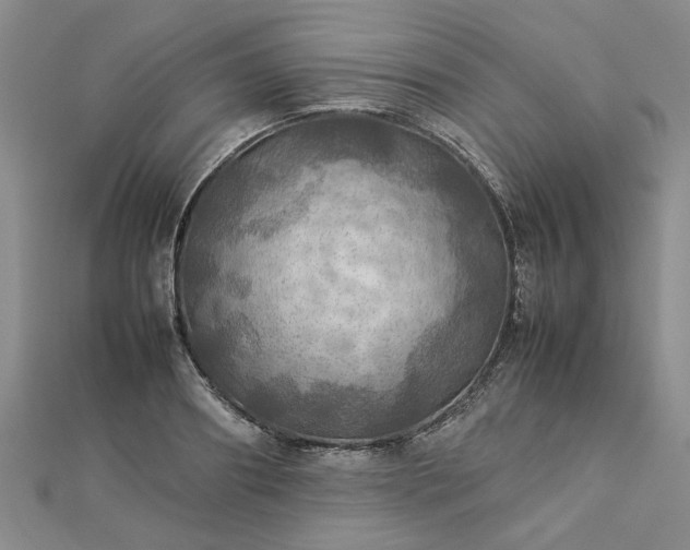 X0000112770890200908271639