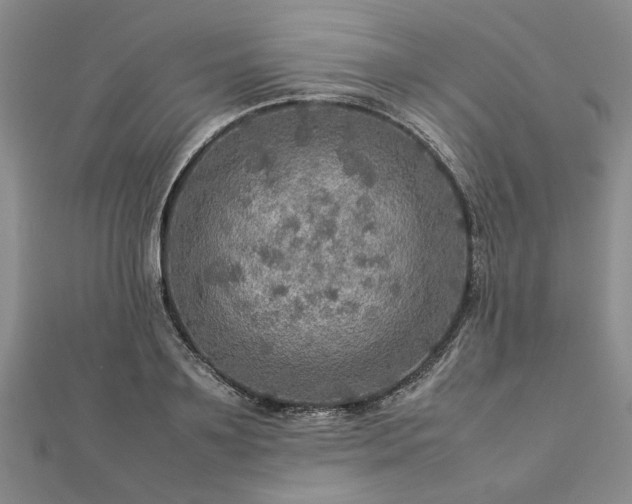 X0000112770891200908271639