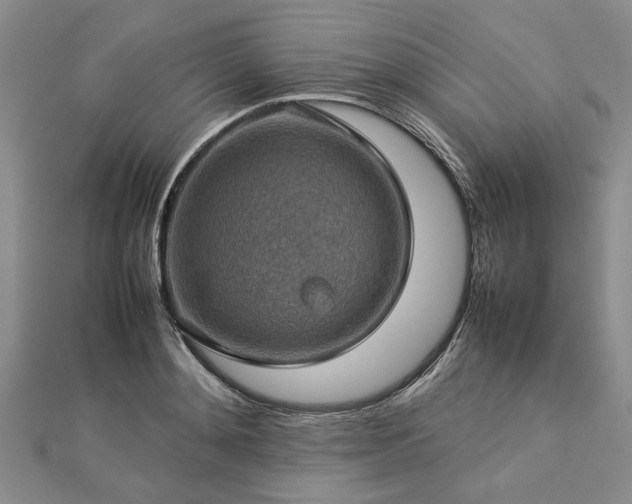 X0000112770892200908271639