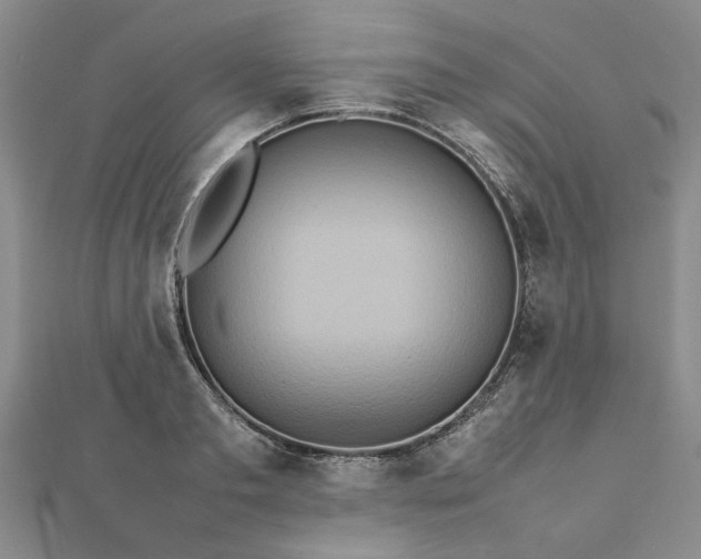 X0000112770893200908271639