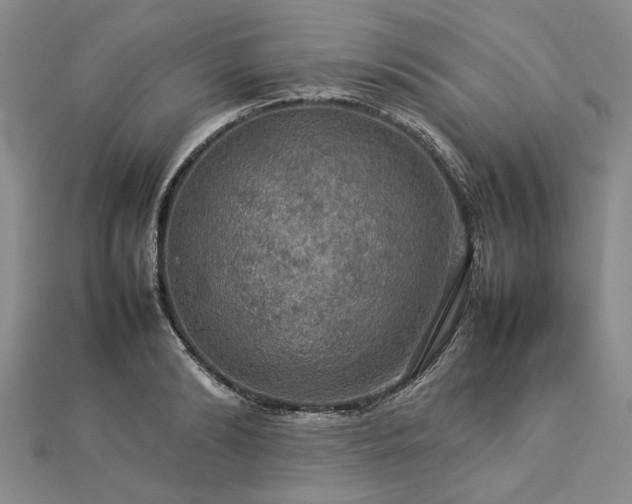 X0000112770894200908271639