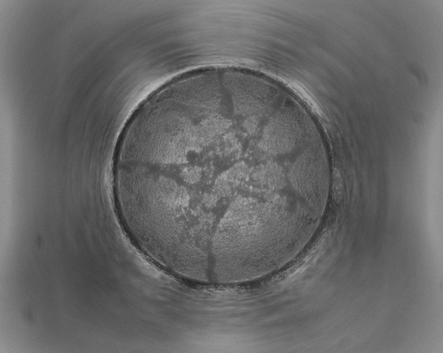X0000112770895200908271639