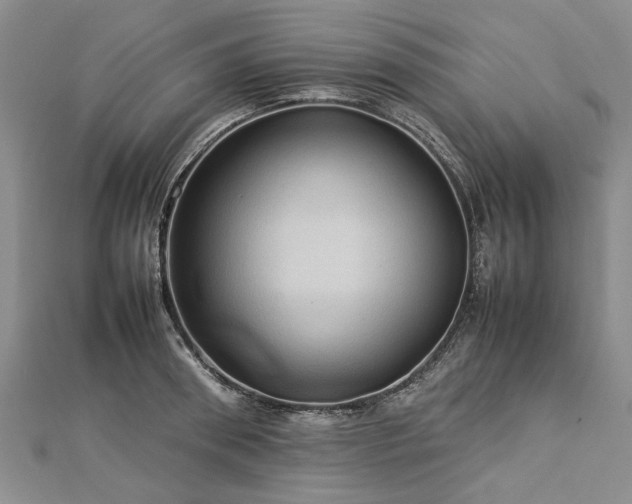 X0000112770898200908271639