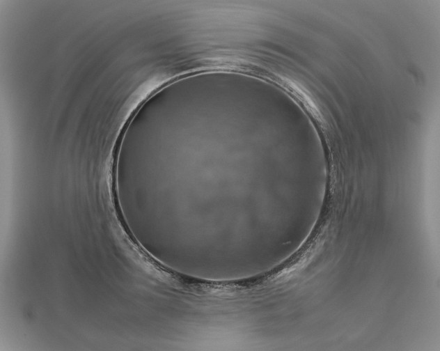 X0000112770899200908271639