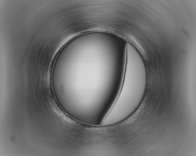 X0000112770900200908271639