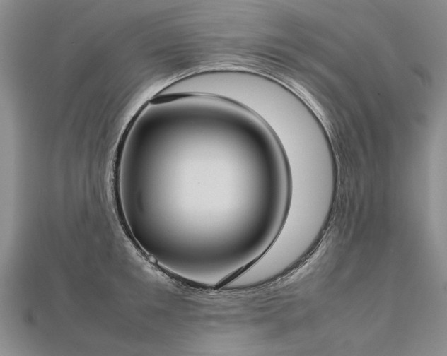 X0000112770901200908271639