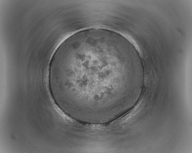 X0000112770903200908271639